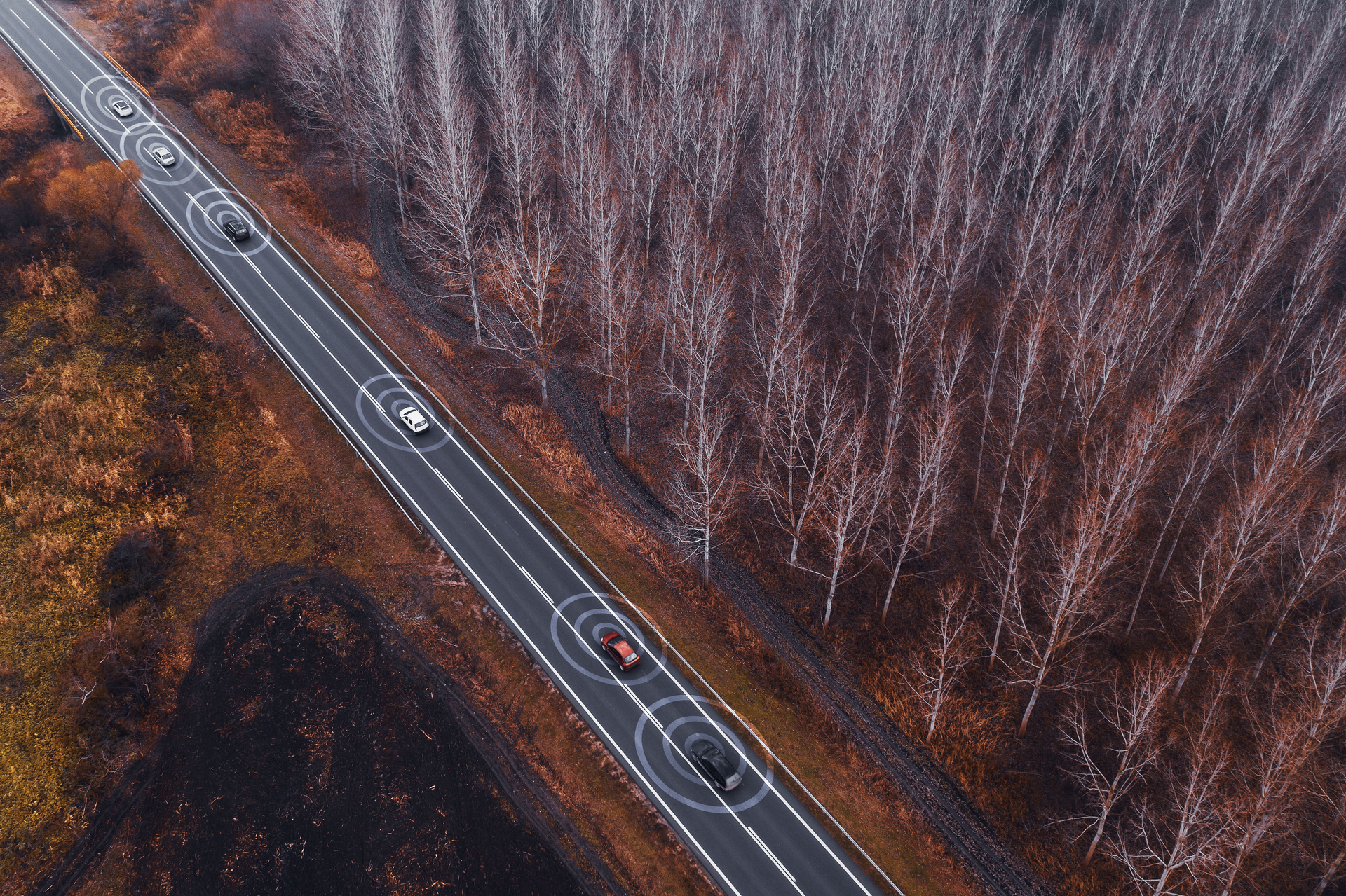 Dreamstime Xl 168835996