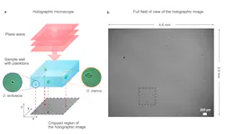 Detailed view of the inline holographic microscope (a)—a plane wave generated by a monochromatic LED source illuminates the sample well that contains two different species of planktons (Dunaliella tertiolecta and Oxyrrhis marina), whose bright-field microscope images are shown in the insets. The holograms of the planktons are shown in the cropped holographic image at the bottom. Full-scale hologram (b). Inline holographic microscopes offer a large field of view; in this case, the active region of the sensor has the dimensions of 4.6 mm × 3.5 mm. Detailed view of the inline holographic microscope (a)—a plane wave generated by a monochromatic LED source illuminates the sample well that contains two different species of planktons (Dunaliella tertiolecta and Oxyrrhis marina), whose bright-field microscope images are shown in the insets. The holograms of the planktons are shown in the cropped holographic image at the bottom. Full-scale hologram (b). Inline holographic microscopes offer a large field of view; in this case, the active region of the sensor has the dimensions of 4.6 mm × 3.5 mm.