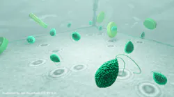 Illustrations showing microplanktons (green) being imaged with a holographic microscope. The holograms (shown at the bottom) act as a unique fingerprint of the microplankton dry mass and vertical distance. Illustrations showing microplanktons (green) being imaged with a holographic microscope. The holograms (shown at the bottom) act as a unique fingerprint of the microplankton dry mass and vertical distance.