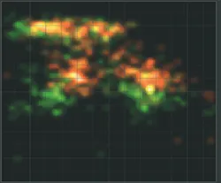FIGURE 2. E/S histogram displaying values of individual FRET bursts as single dots. Corrected values are shown in green and uncorrected values in red. E is shown on the x-axis and S on the y-axis. FIGURE 2. E/S histogram displaying values of individual FRET bursts as single dots. Corrected values are shown in green and uncorrected values in red. E is shown on the x-axis and S on the y-axis.