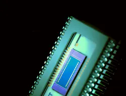 8 Lfw 2 Sitek 63a35c6cbc4d5 8 Lfw 2 Sitek 63a35c6cbc4d5