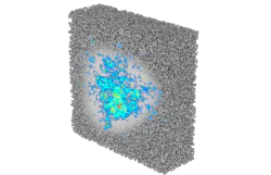 FIGURE 1. Image of an electromagnetic wave trapped inside a disordered metal. FIGURE 1. Image of an electromagnetic wave trapped inside a disordered metal.