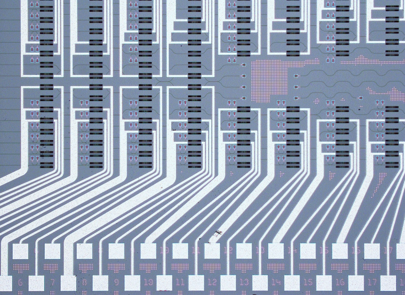 FIGURE 1. Microscope image of a photonic chip hosting the programmable processor used for the photonic neural network.
