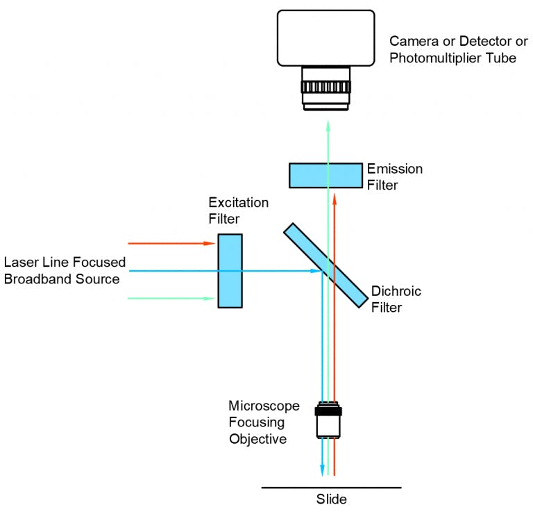 6569ef10a2193e001e563a73 Schematicdiagram768x740