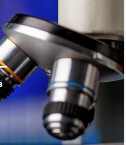 65c3eaf40f9187001e03e2b2 Screenshot 20240207 At 3