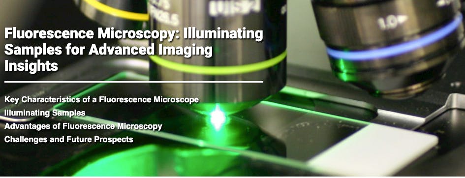 65e5f5b08f6360001fb972ed Screenshot 20240304 At 11