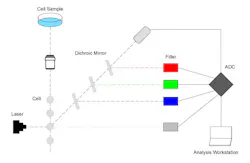 Flow Cytometry Principle Flow Cytometry Principle