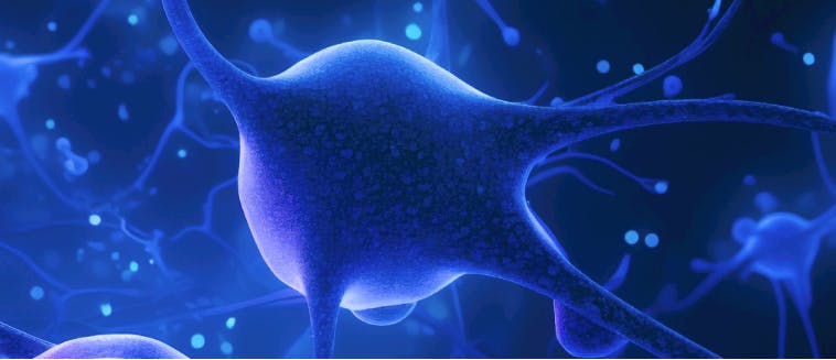 65e60c0dfe0438001efa08f5 Screenshot 20240304 At 12