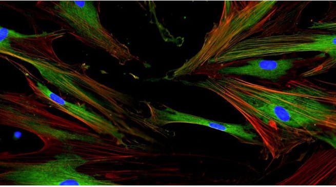 screenshot_20240312_at_1