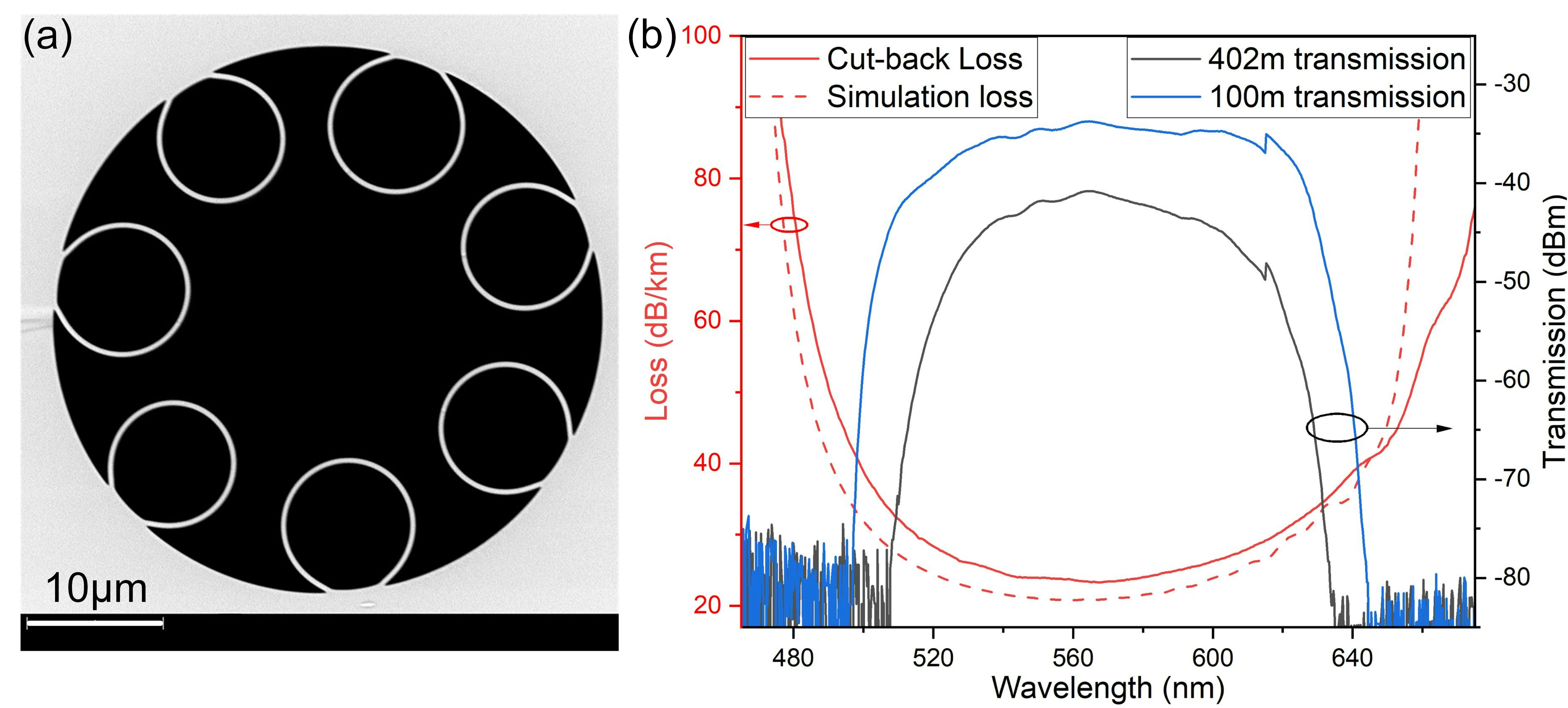 FIGURE 1. The scanning electron microscope (SEM) image shows the cross-sectional view of the HCF (a); the cut-back loss measured for the HCF compared to the simulated loss is also shown (b).