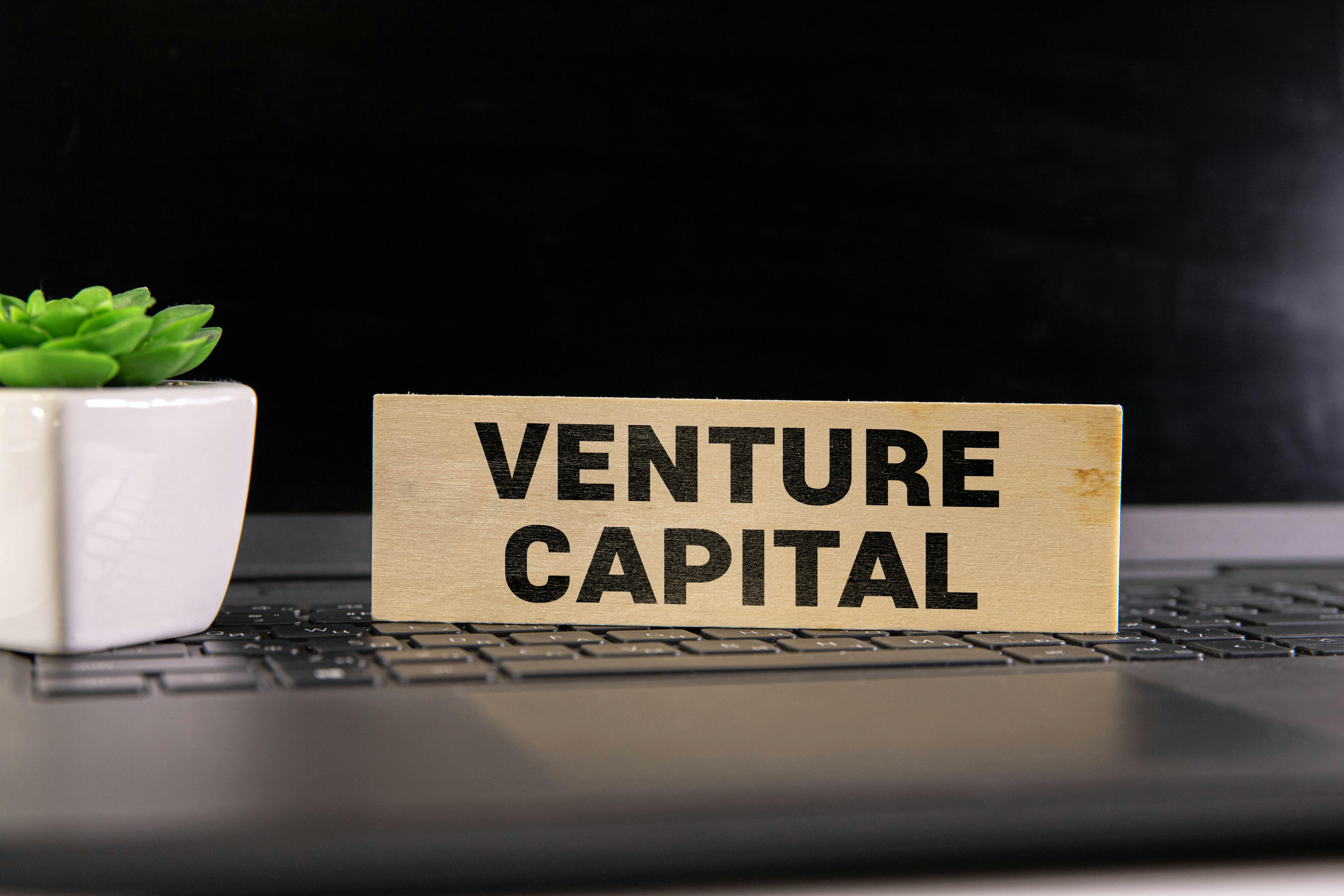 dreamstime_xxl_305702414