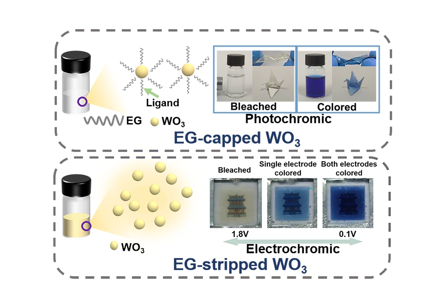 Tungsten trioxide nanodots show diverse chromatic properties after tailoring the surface ligand.