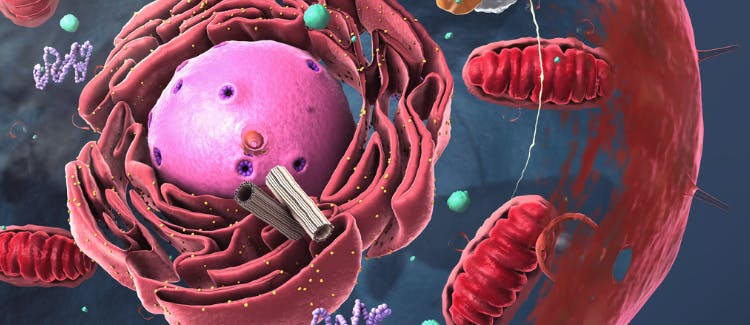 screenshot_20240522_at_12