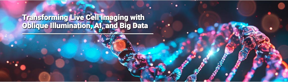 66757775c8041d978cd1d8be Screenshot 20240621 At 8