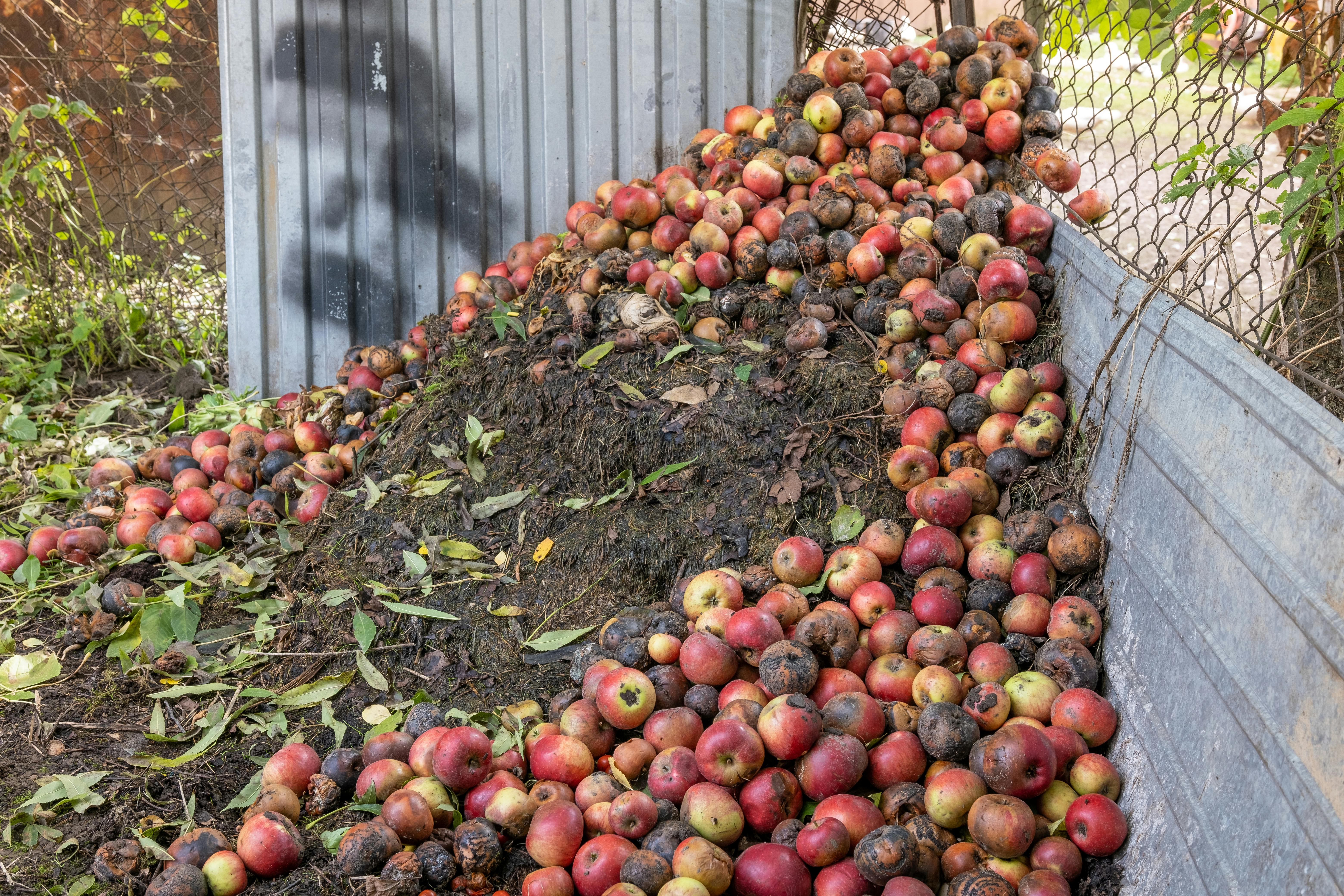 668ea5928f196f4f50eb22e7 Gettyimages1464076281