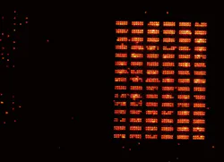 A neutral atom qubit register, which continuously reloads new atoms into the register. A neutral atom qubit register, which continuously reloads new atoms into the register.