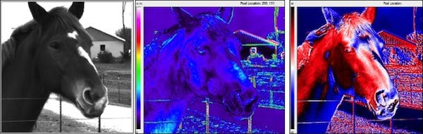 Polarimetric images (center and right) are taken of a horse (left). The center image shows the degree of linear polarization (DoLP) at all points in the image, with a color-gradient scale to the left of the image. The right-hand image shows the polarization orientation at all points in the image, also with a color-gradient scale to the left of the image.