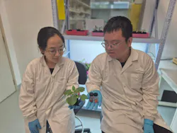 Lead researchers Dr. Song Wang (left), a research scientist at SMART DiSTAP, and Dr. Yangyang Han (right), a senior postdoctoral associate at SMART DiSTAP. Lead researchers Dr. Song Wang (left), a research scientist at SMART DiSTAP, and Dr. Yangyang Han (right), a senior postdoctoral associate at SMART DiSTAP.