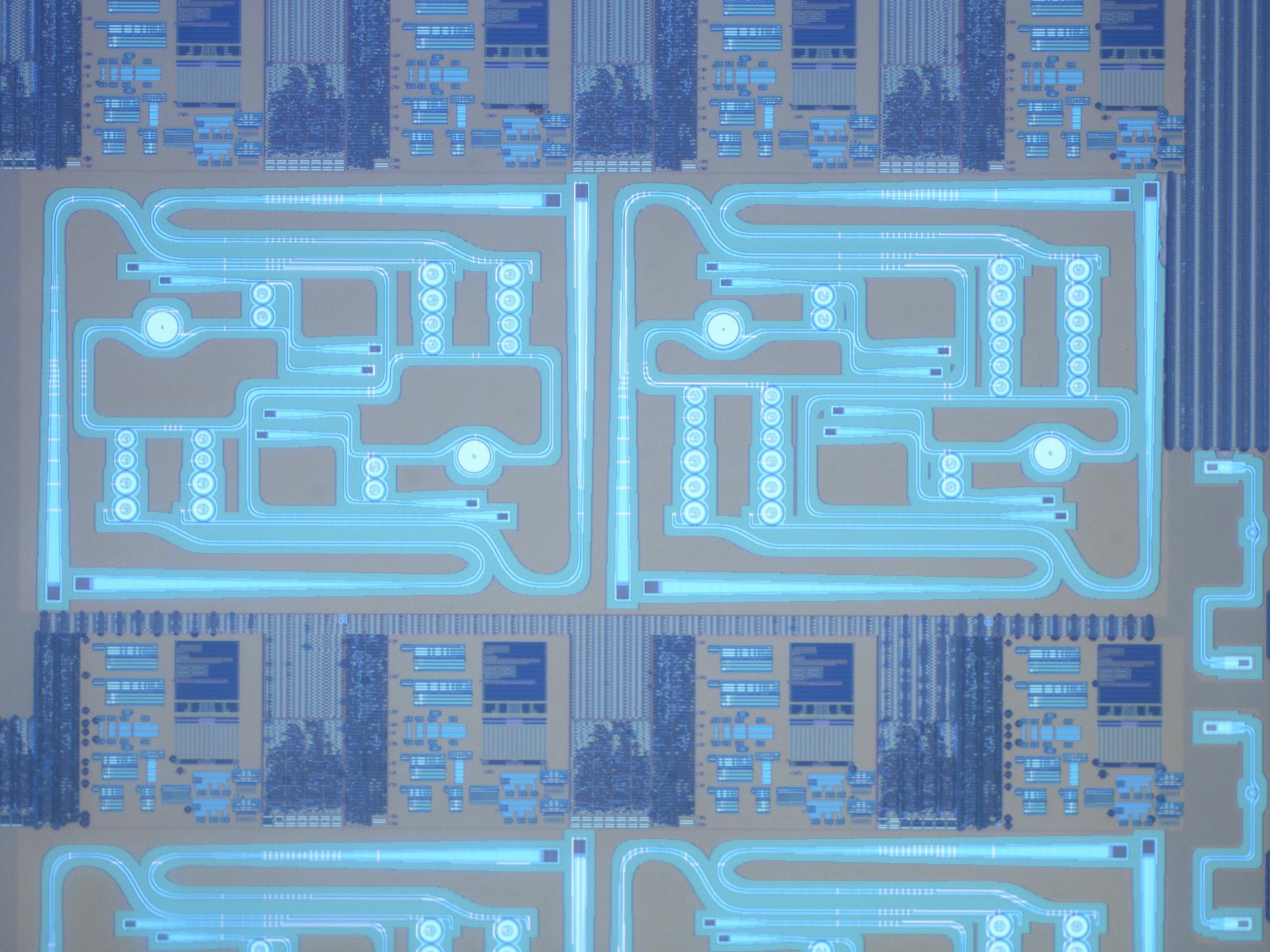 Optical micrograph of quantum light source electronic-photonic circuits sites, with four visible out of the total 12 on the fabricated silicon chips. Credit: BU