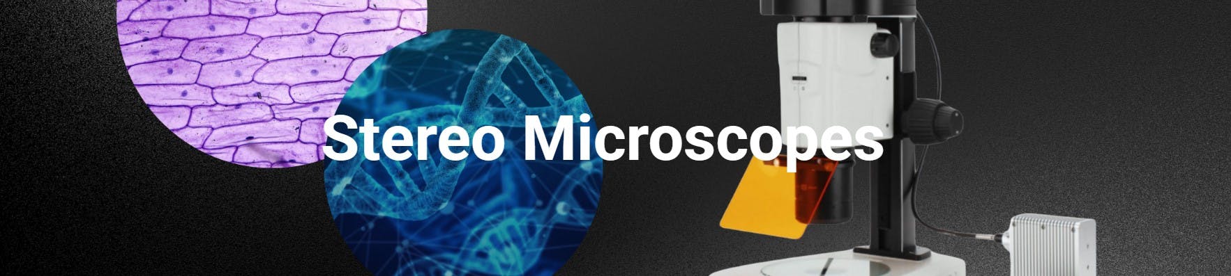 Stereo Microscopes
