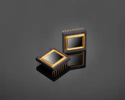 688915943d91765b687c4974 Lynred 688915943d91765b687c4974 Lynred