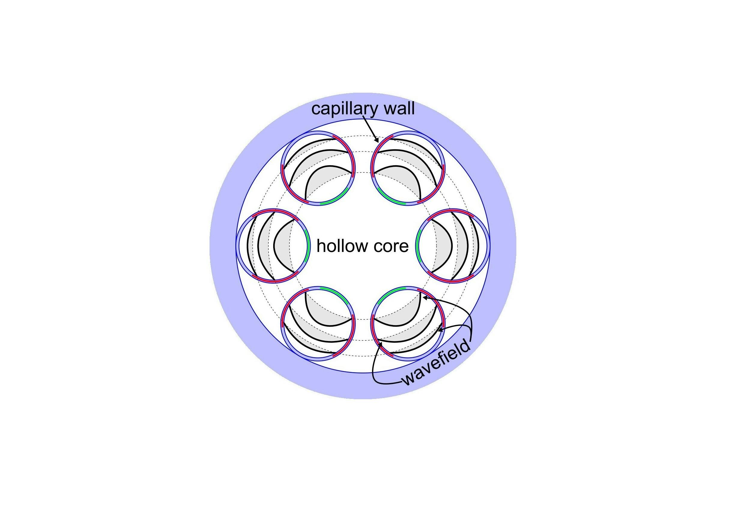 Cross-section of a HCF fabricated by Leah Murphy at the University of Bath, U.K. while developing a model to explain how losses occur.