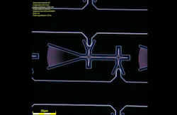 Dark-field microscope image of a diode nanocavity device with a grating coupler (left) for optical excitation/collection and electrical connections to the p-i-n diode (top/bottom). Credit: Michael Dobinson Dark-field microscope image of a diode nanocavity device with a grating coupler (left) for optical excitation/collection and electrical connections to the p-i-n diode (top/bottom). Credit: Michael Dobinson