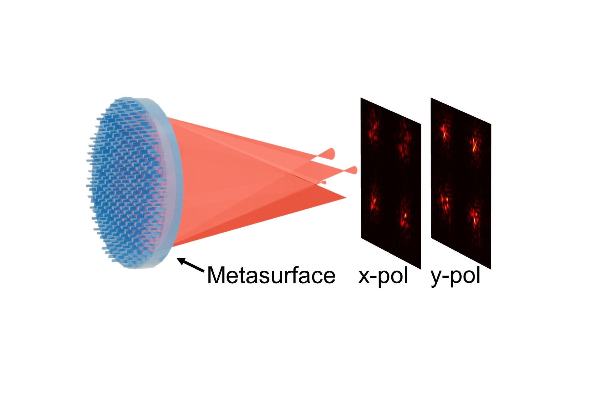 Schematic of a birefringent metasurface creating four point spread functions (PSFs) for each polarization channel to provide eight total phase-diversity captures within a single shot.