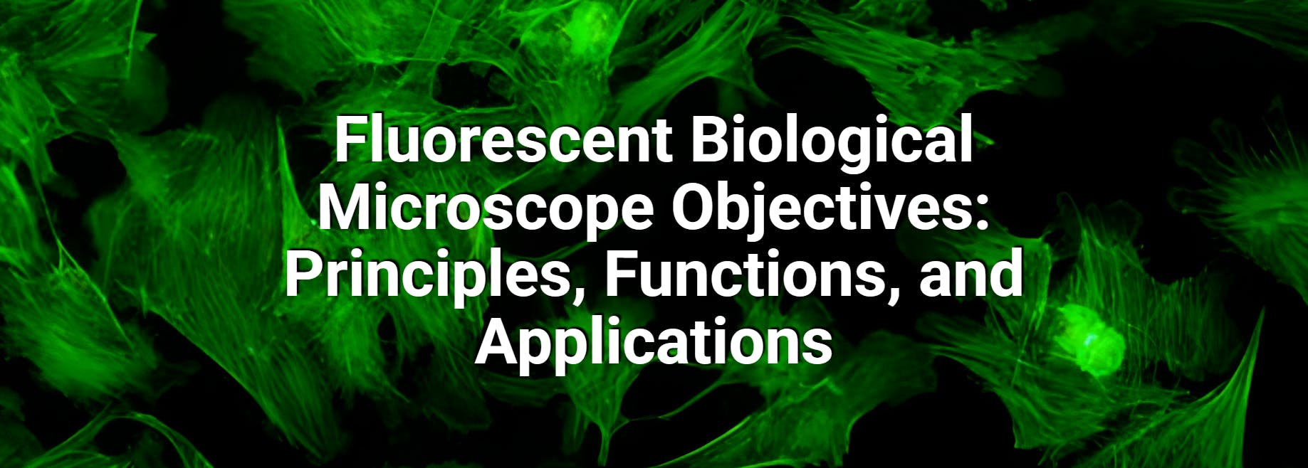 Fluorescence Microscope Objectives: Principles, Design & Applications