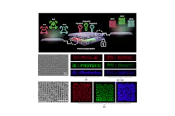 Schematic of the team’s metasurface hologram encryption approach. Schematic of the team’s metasurface hologram encryption approach.