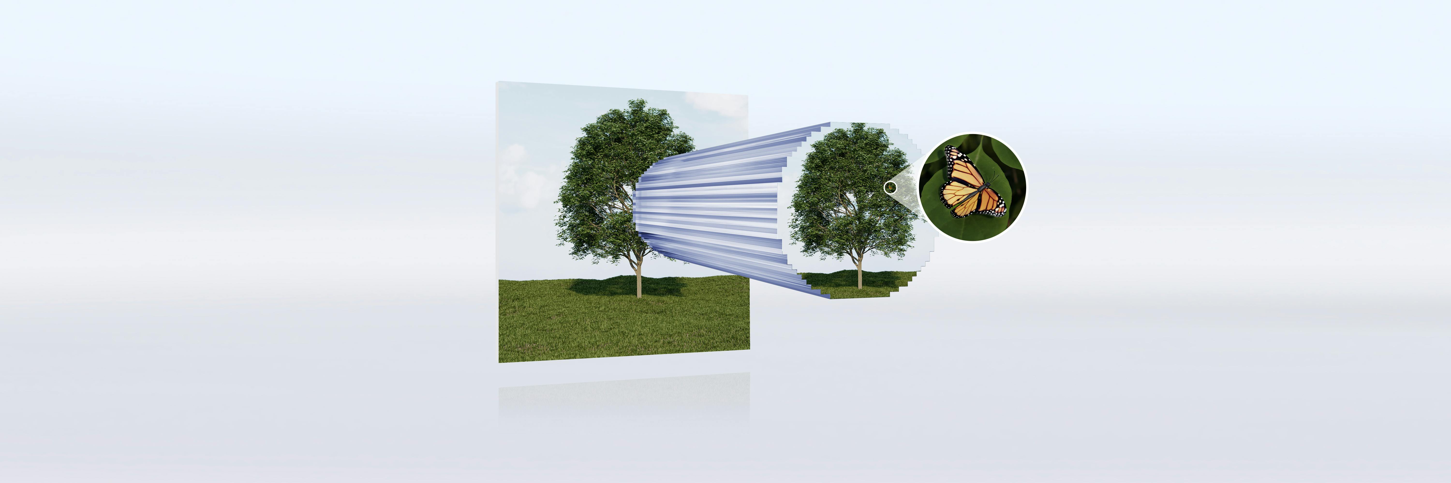 schott_li_talof_image_foto_baum_rgb_2024_12_20_2