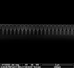 FIGURE 2. A SEM image cross-section of an array of nanoridges. FIGURE 2. A SEM image cross-section of an array of nanoridges.