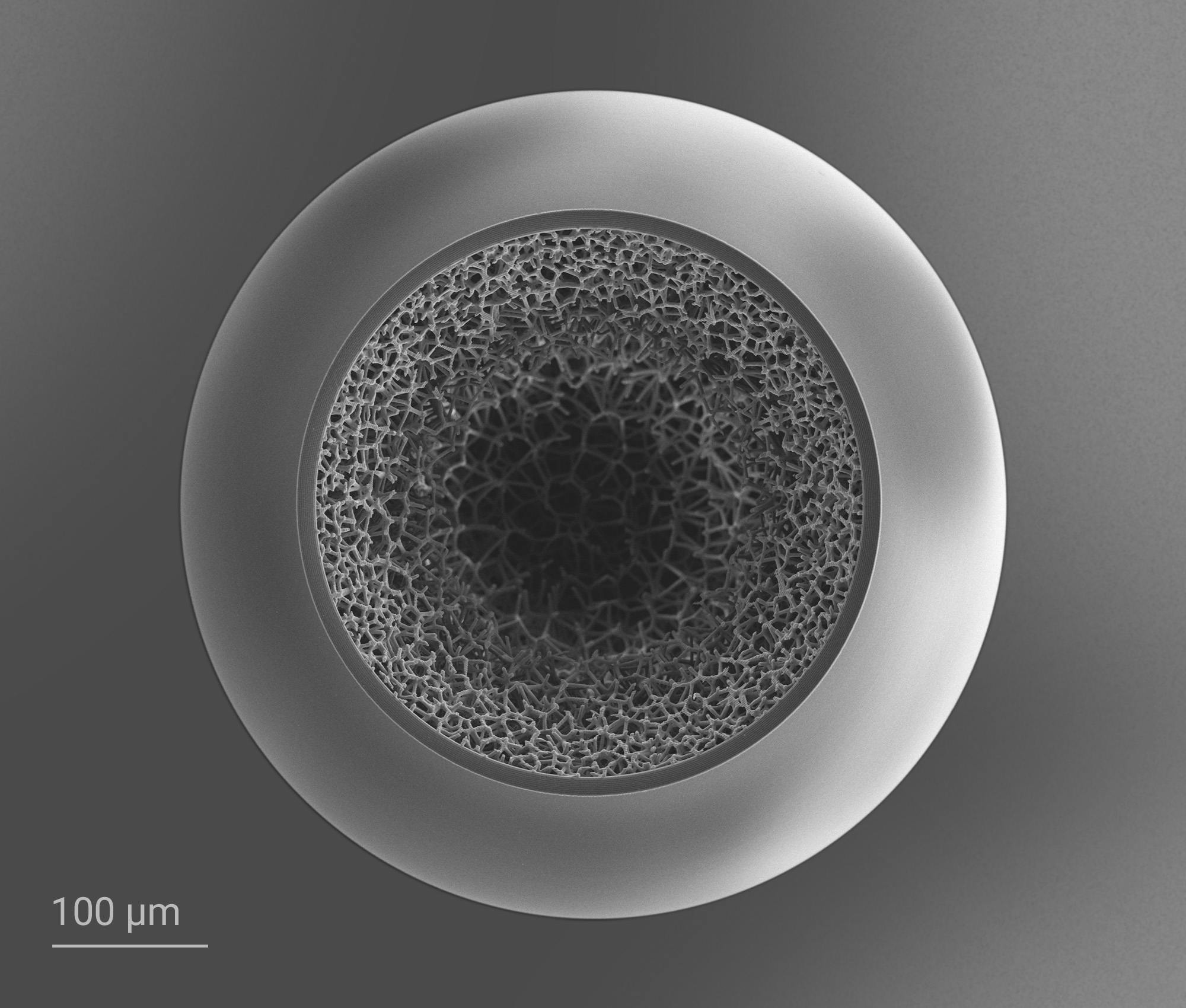 Voronoi gradient density foam enclosed by a solid outer shell with a diameter of 550 &micro;m. This inertial confinement fusion target was printed using Nanoscribe Quantum X shape.