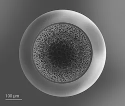 Voronoi gradient density foam enclosed by a solid outer shell with a diameter of 550 µm. This inertial confinement fusion target was printed using Nanoscribe Quantum X shape. Voronoi gradient density foam enclosed by a solid outer shell with a diameter of 550 µm. This inertial confinement fusion target was printed using Nanoscribe Quantum X shape.
