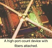 Th 0003lwe21 Th 0003lwe21