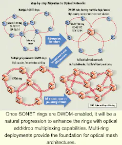 Th 0011lwspr10f1 Th 0011lwspr10f1
