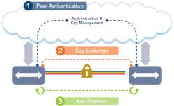 Lwinfinerafig4031817 Lwinfinerafig4031817