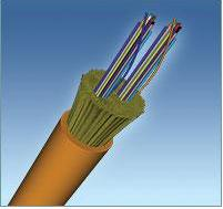 Content Dam Etc Medialib New Lib Lw Online Articles 2010 07 Lw071910afltele