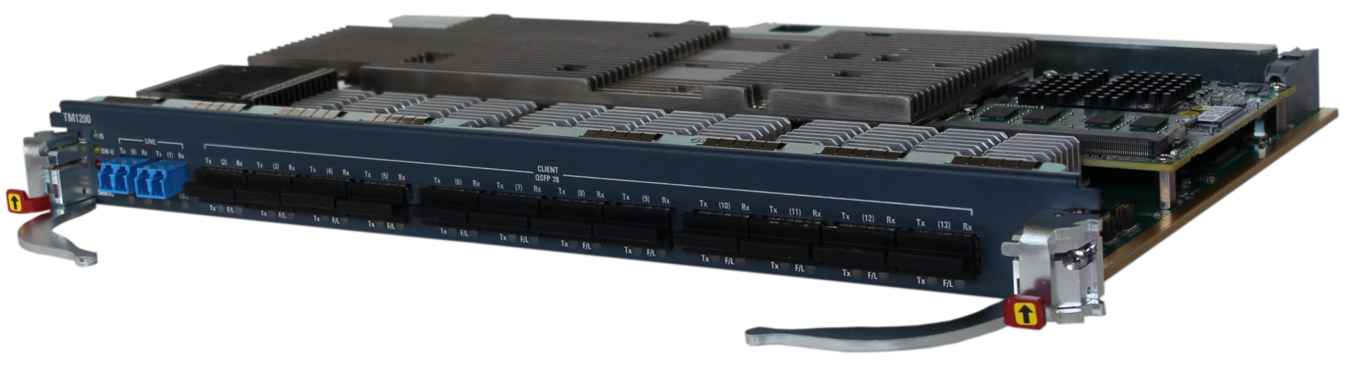 ECI and SURF conducted a trial of the former's Apollo TM1200 1.2-Tbps blade.