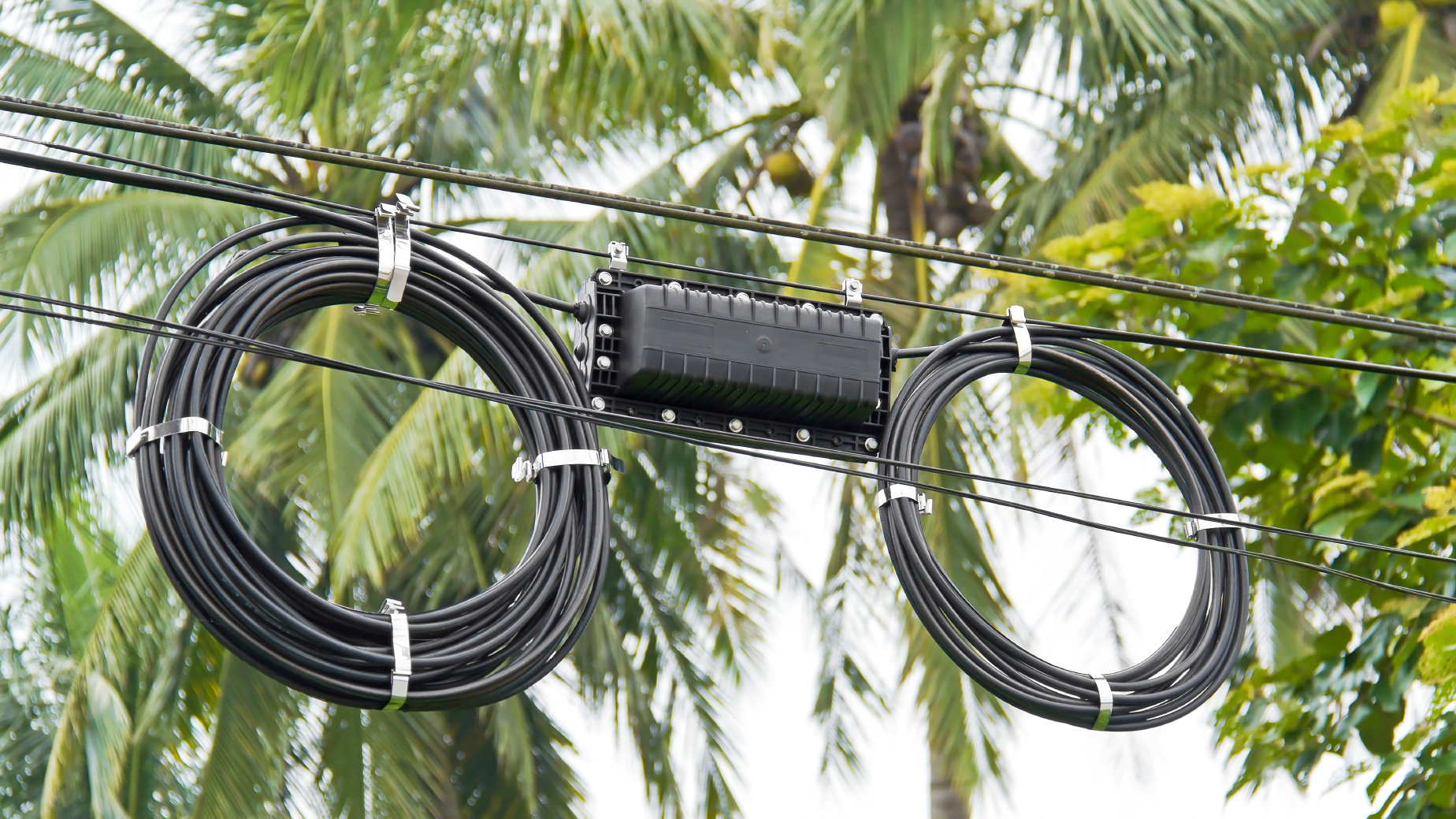 I Stock 000028897102 Medium 5dee76c271d1c