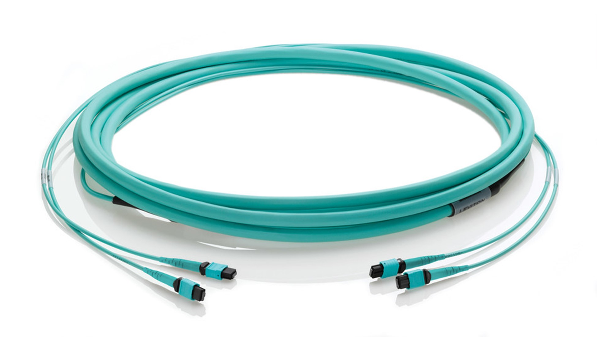 L Wleviton042021 607edf1f7907f