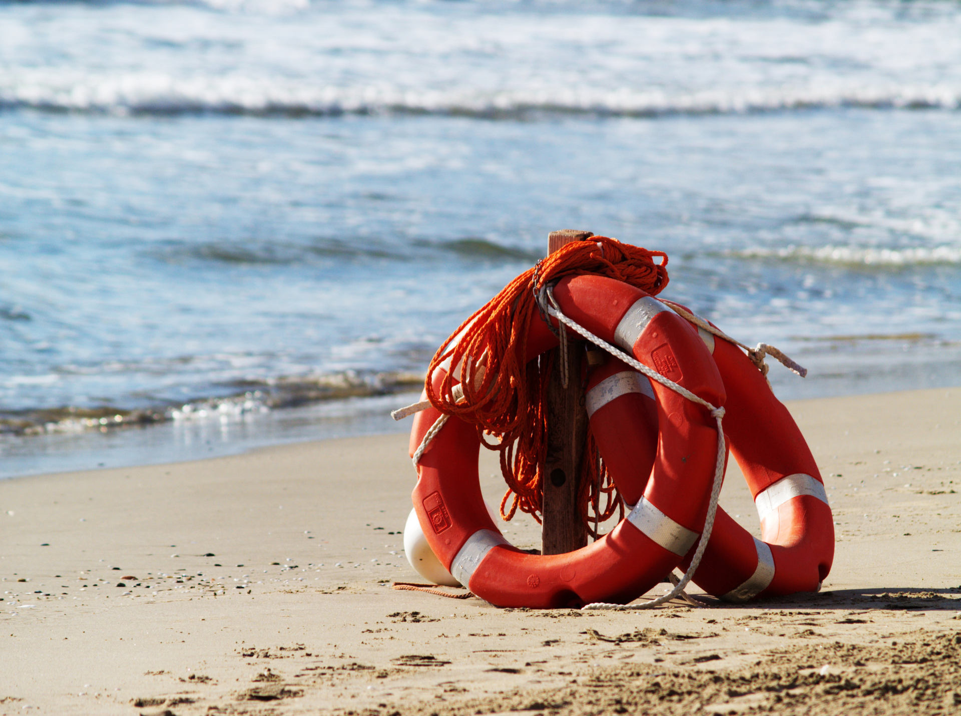 Dreamstime M 9949591 6384d3dad866a