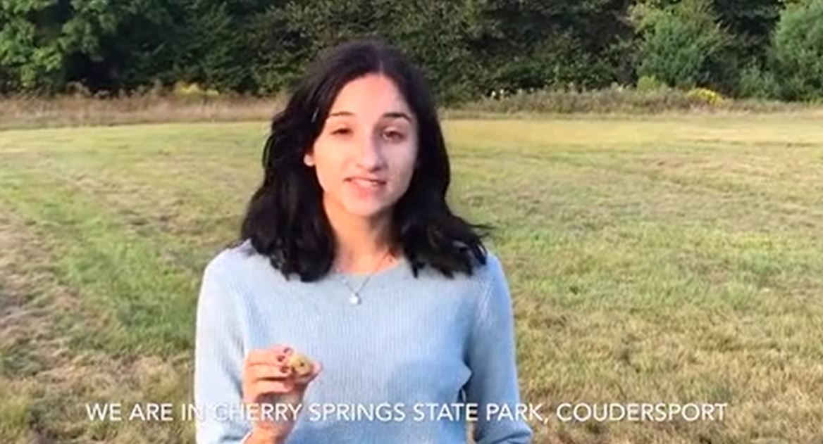 Dis Semi Tn 5fa1c4447489f