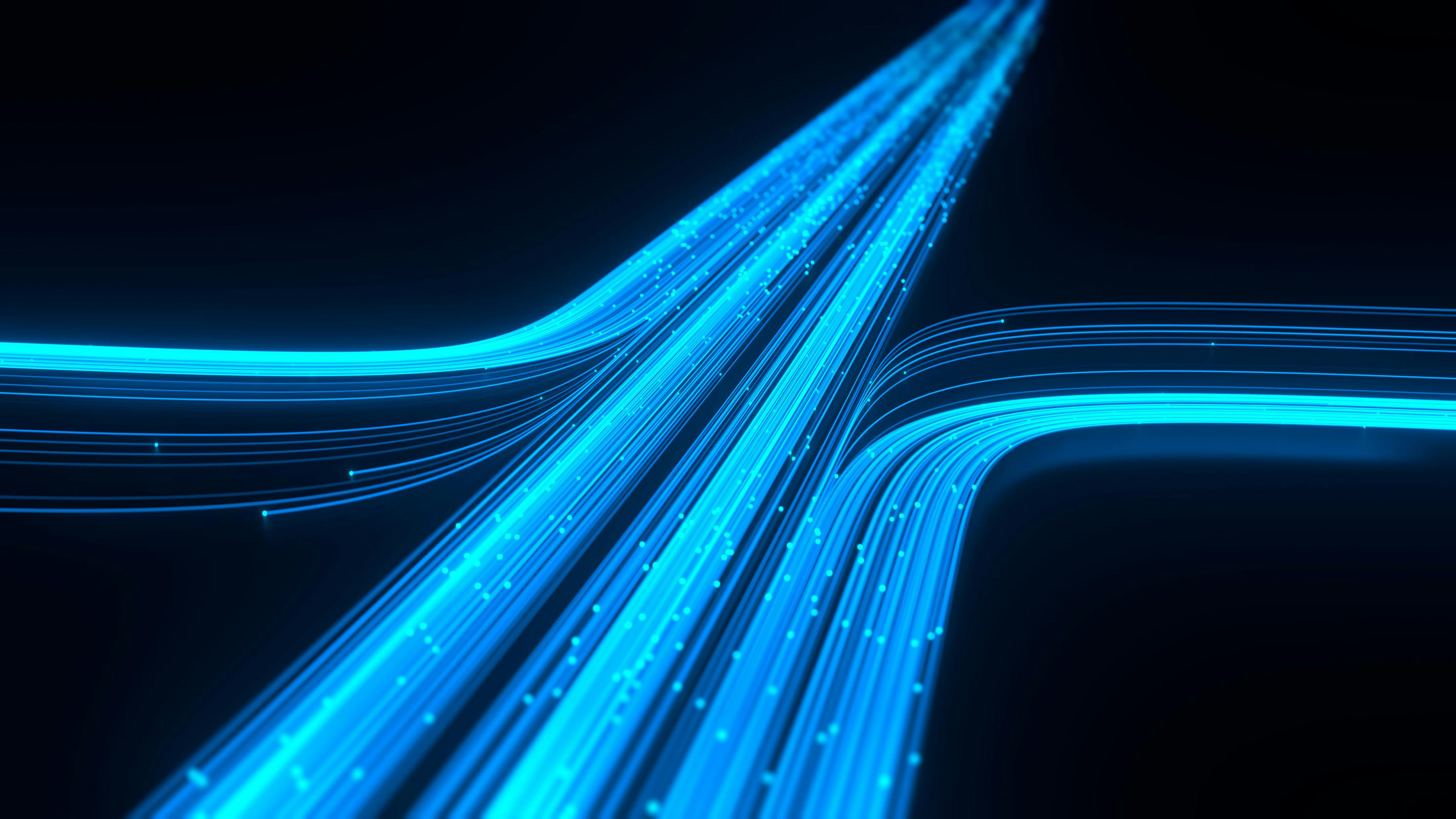 dreamstime_l_307513488