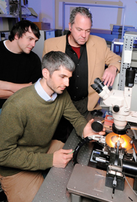 Machinedesign Com Sites Machinedesign com Files Uploads 2013 05 12348 Sm Acoustic