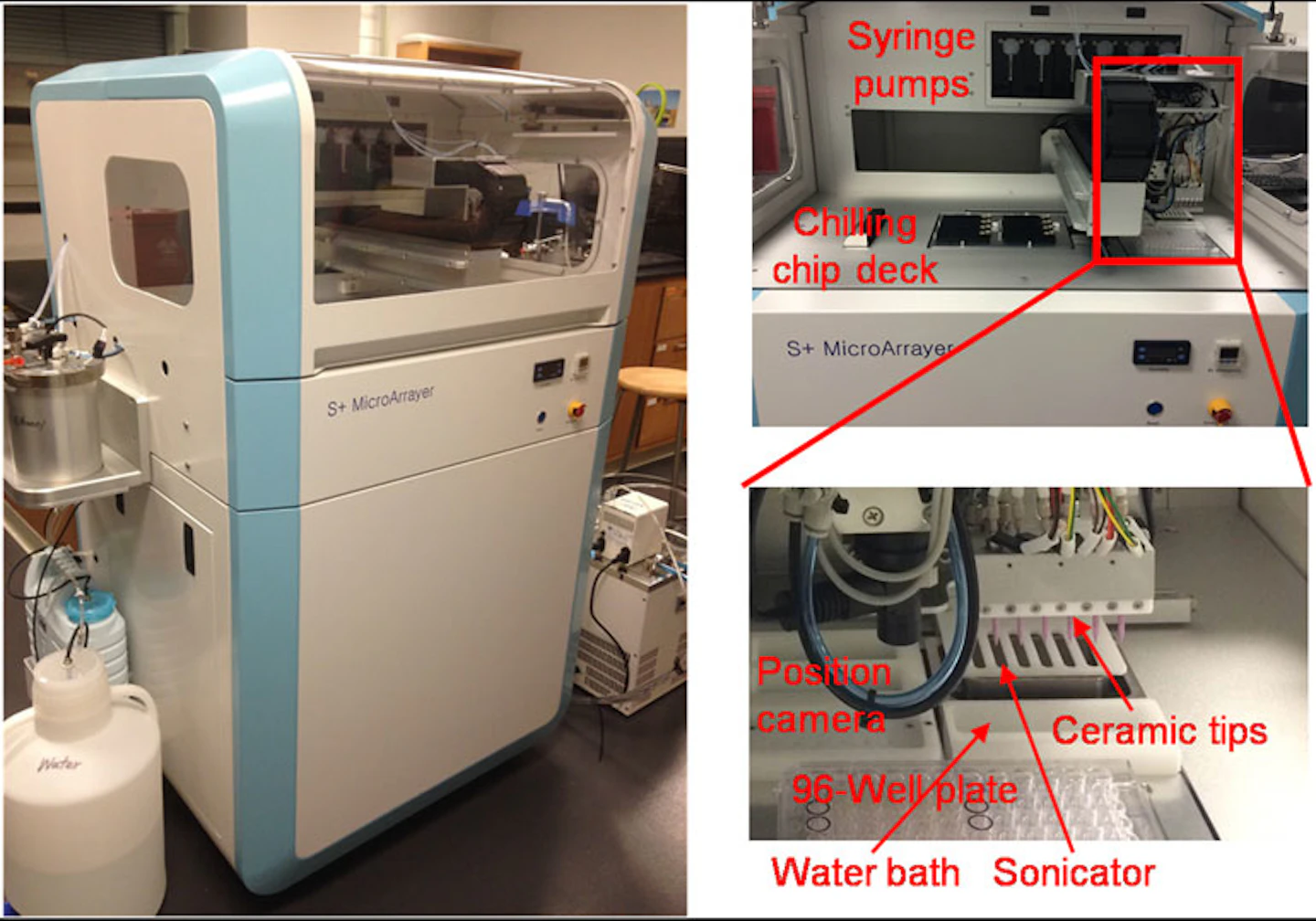 3D Printing Human Tissue Replicas | Machine Design