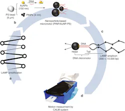 Www Machinedesign Com Sites Machinedesign com Files Hiv Detection Process 0 Www Machinedesign Com Sites Machinedesign com Files Hiv Detection Process 0