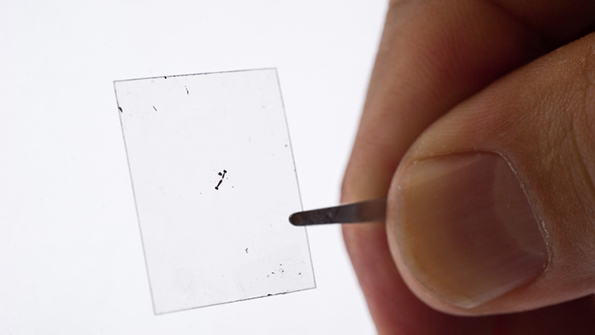 Layers of molybdenum disulfide MoS2 such as this sample can be fashioned into light flexible and transparent electric generators only a few atoms thick