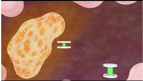 Magnetic disks move closer together as the center hydrogel shrinks in the presence of a lower pH
