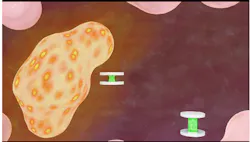Magnetic disks move closer together as the center hydrogel shrinks in the presence of a lower pH Magnetic disks move closer together as the center hydrogel shrinks in the presence of a lower pH